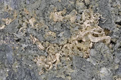 Silber